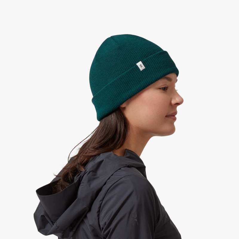 Merino Beanie