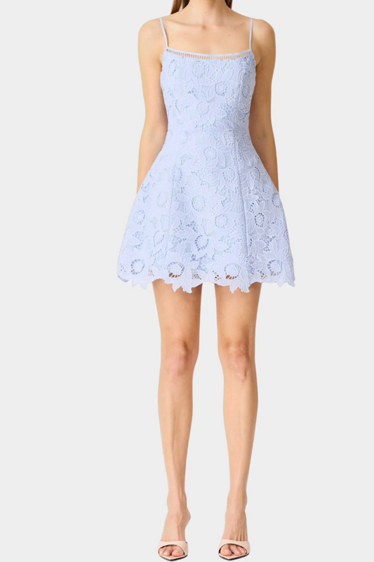 Lacy Tulip Mini Dress