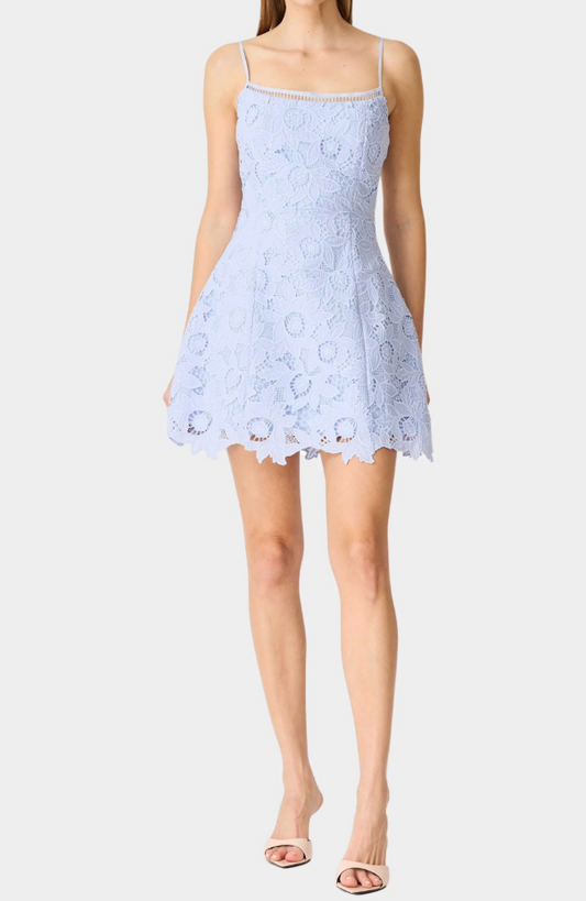 Lacy Tulip Mini Dress