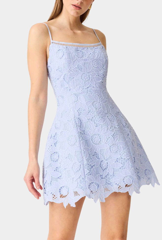 Lacy Tulip Mini Dress