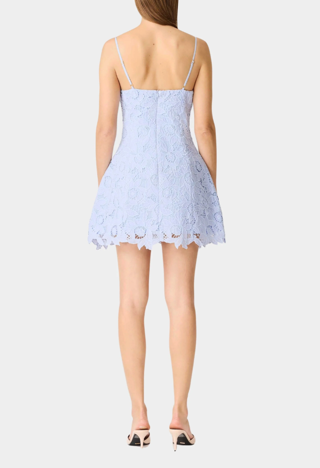 Lacy Tulip Mini Dress