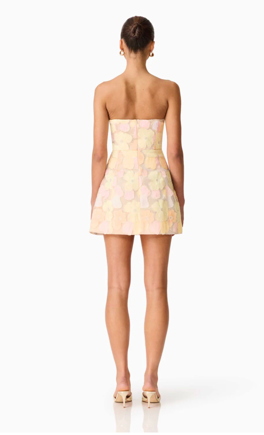 Zaria Strapless Mini Dress