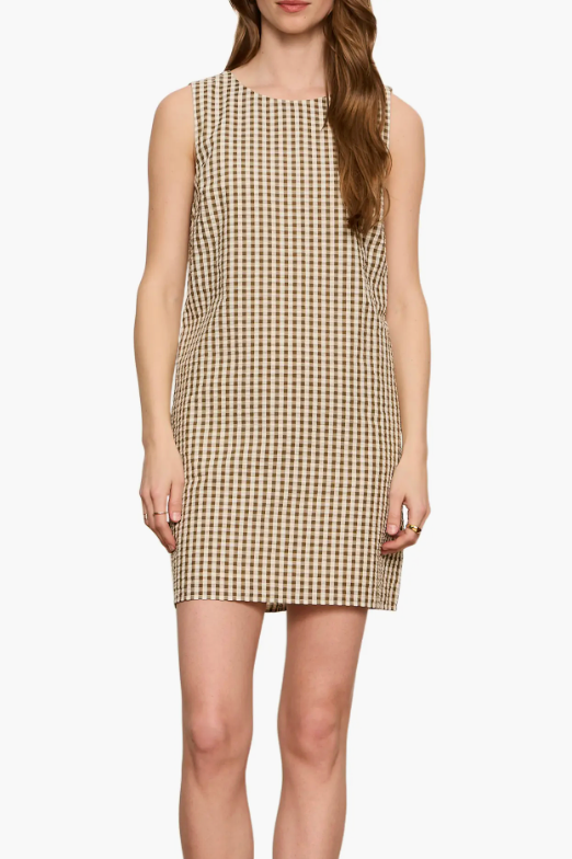 Way To Be Gingham Dress