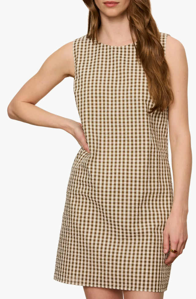 Way To Be Gingham Dress