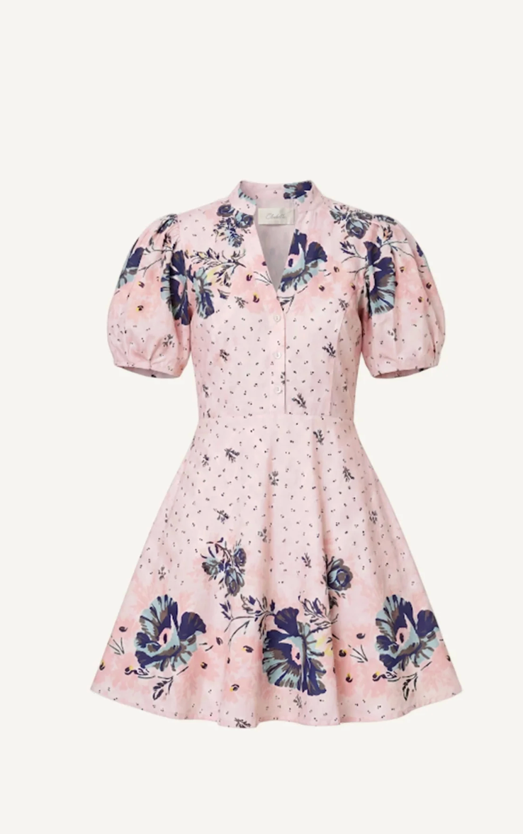 Micah Mini Dress