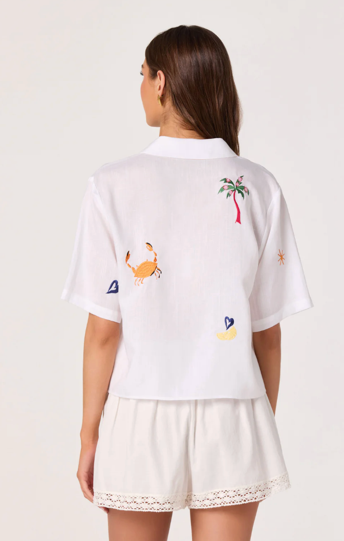 Vesa Top