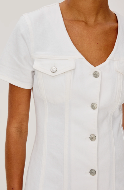 Saratoga Dress