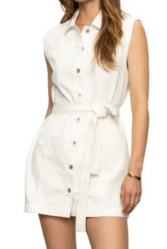 ILA Denim Dress